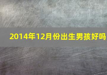 2014年12月份出生男孩好吗