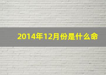 2014年12月份是什么命