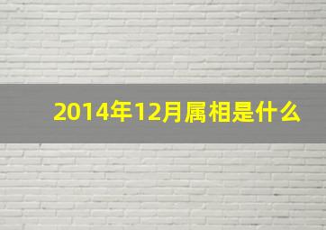 2014年12月属相是什么