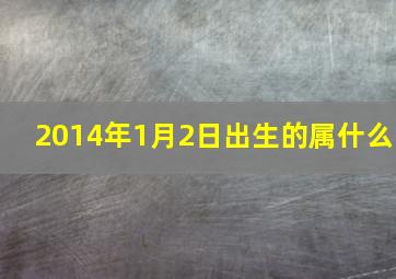 2014年1月2日出生的属什么