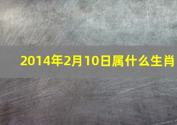 2014年2月10日属什么生肖