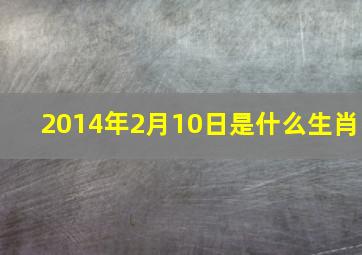 2014年2月10日是什么生肖