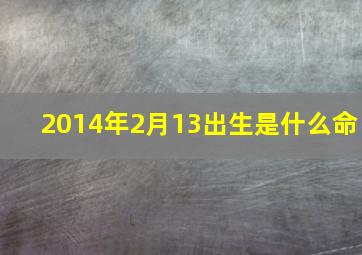 2014年2月13出生是什么命