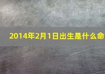 2014年2月1日出生是什么命