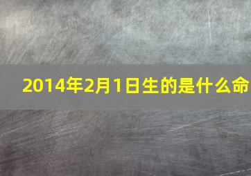 2014年2月1日生的是什么命