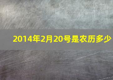 2014年2月20号是农历多少