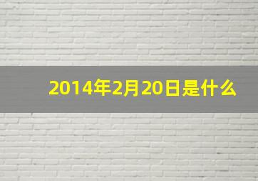 2014年2月20日是什么