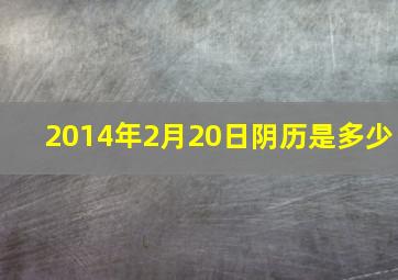 2014年2月20日阴历是多少