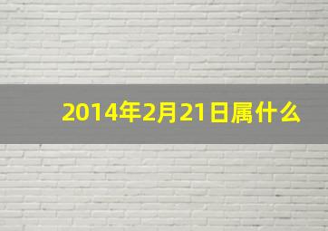 2014年2月21日属什么