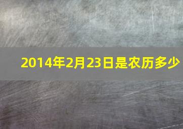 2014年2月23日是农历多少