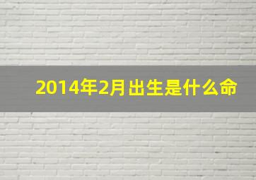 2014年2月出生是什么命