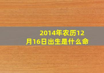 2014年农历12月16日出生是什么命