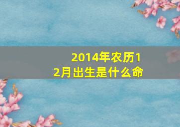 2014年农历12月出生是什么命