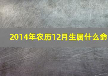 2014年农历12月生属什么命