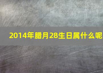 2014年腊月28生日属什么呢