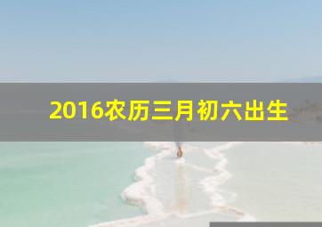 2016农历三月初六出生