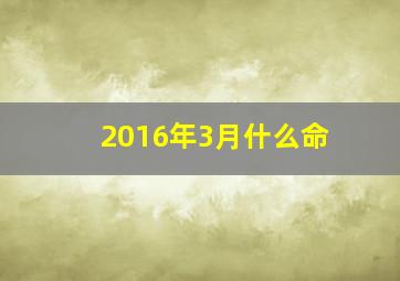 2016年3月什么命