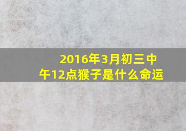 2016年3月初三中午12点猴子是什么命运