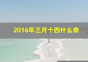 2016年三月十四什么命