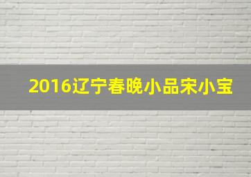 2016辽宁春晚小品宋小宝