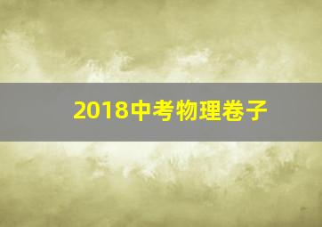 2018中考物理卷子