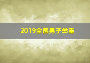 2019全国男子举重