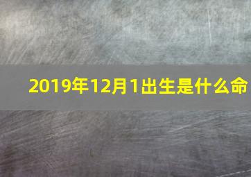 2019年12月1出生是什么命