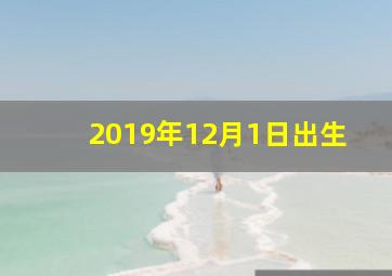 2019年12月1日出生