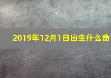 2019年12月1日出生什么命