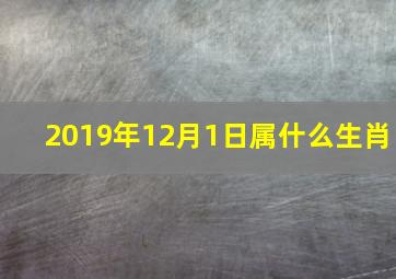 2019年12月1日属什么生肖