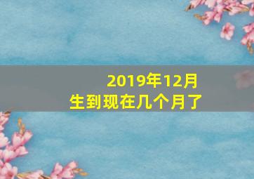 2019年12月生到现在几个月了