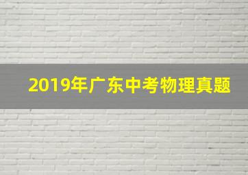 2019年广东中考物理真题