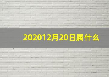 202012月20日属什么