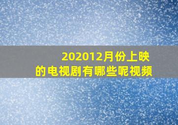 202012月份上映的电视剧有哪些呢视频