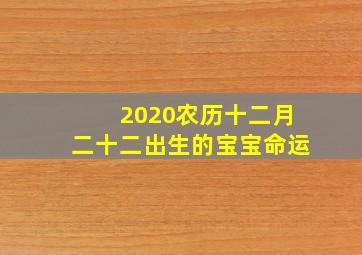 2020农历十二月二十二出生的宝宝命运