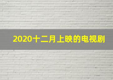 2020十二月上映的电视剧