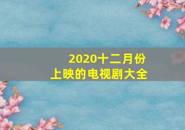 2020十二月份上映的电视剧大全