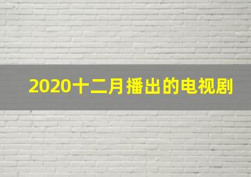 2020十二月播出的电视剧