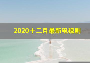 2020十二月最新电视剧