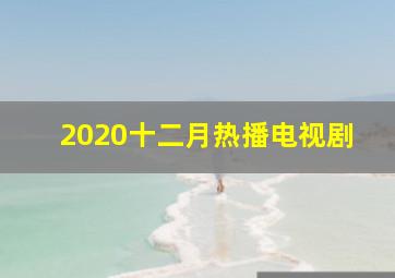 2020十二月热播电视剧