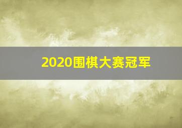 2020围棋大赛冠军