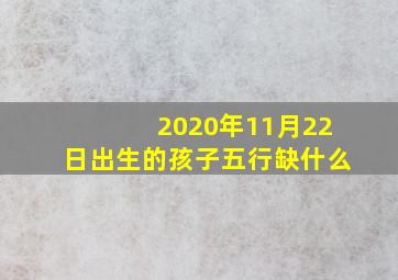 2020年11月22日出生的孩子五行缺什么