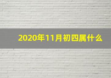 2020年11月初四属什么