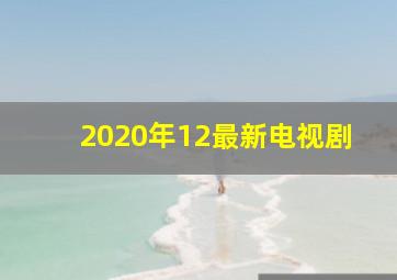 2020年12最新电视剧