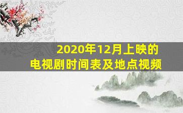 2020年12月上映的电视剧时间表及地点视频