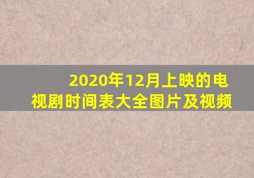 2020年12月上映的电视剧时间表大全图片及视频