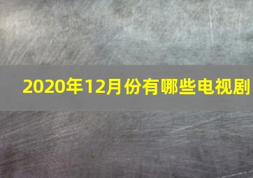 2020年12月份有哪些电视剧