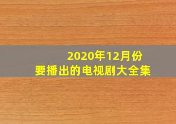 2020年12月份要播出的电视剧大全集