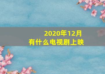 2020年12月有什么电视剧上映