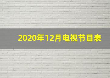 2020年12月电视节目表